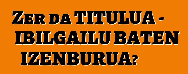 Zer da TITULUA - IBILGAILU BATEN IZENBURUA?