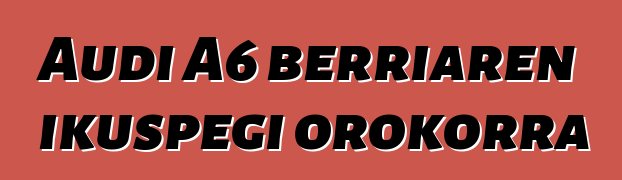 Audi A6 berriaren ikuspegi orokorra