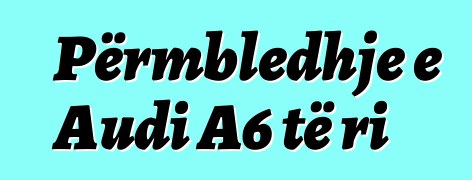 Përmbledhje e Audi A6 të ri