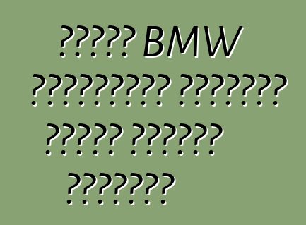 প্রথম BMW বৈদ্যুতিক গাড়িটি গতিতে দেখানো হয়েছিল