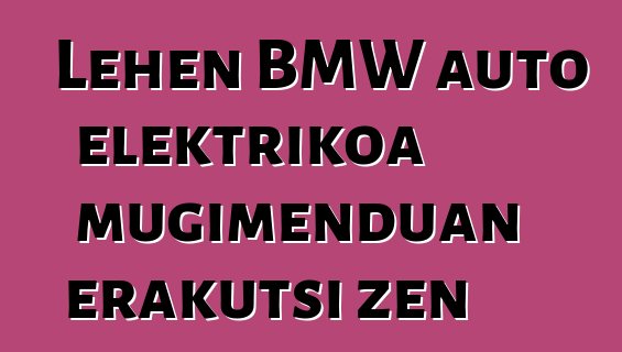 Lehen BMW auto elektrikoa mugimenduan erakutsi zen