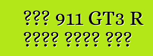 ፖርሽ 911 GT3 R ድብልቅ ውድድር መኪና