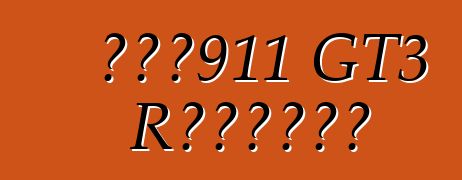 保時捷911 GT3 R混合動力賽車