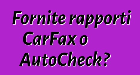 Fornite rapporti CarFax o AutoCheck?