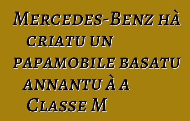 Mercedes-Benz hà criatu un papamobile basatu annantu à a Classe M