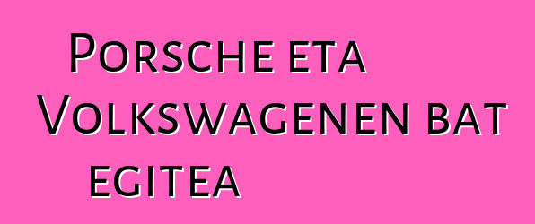 Porsche eta Volkswagenen bat egitea