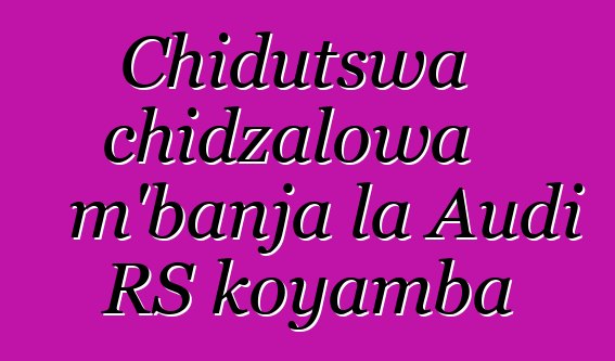 Chidutswa chidzalowa m'banja la Audi RS koyamba