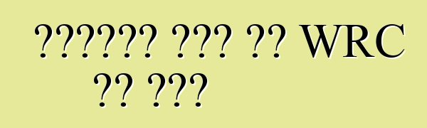 ቮልስዋገን ለፖሎ አር WRC ልዩ እትም