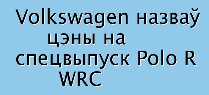 Volkswagen назваў цэны на спецвыпуск Polo R WRC