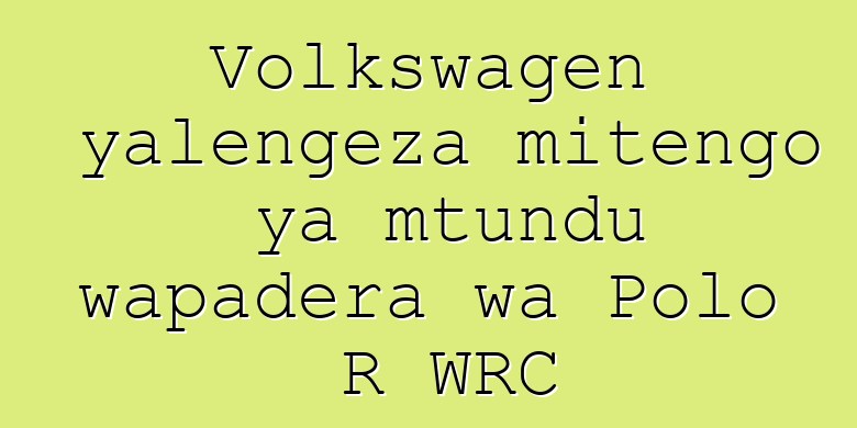 Volkswagen yalengeza mitengo ya mtundu wapadera wa Polo R WRC