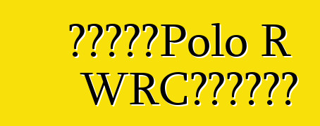 大众公布了Polo R WRC特别版的价格