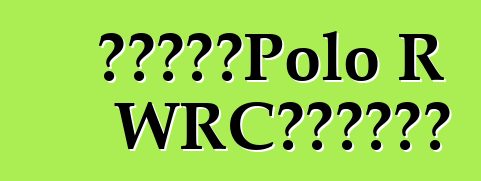 大眾公佈了Polo R WRC特別版的價格