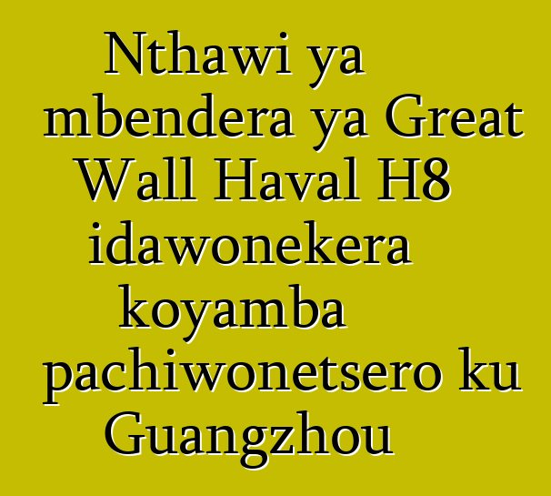 Nthawi ya mbendera ya Great Wall Haval H8 idawonekera koyamba pachiwonetsero ku Guangzhou