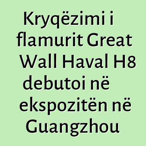 Kryqëzimi i flamurit Great Wall Haval H8 debutoi në ekspozitën në Guangzhou