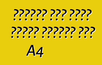 ইয়েমা অটো চালু করেছে চাইনিজ অডি A4