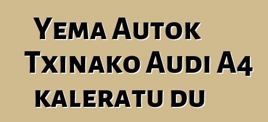 Yema Autok Txinako Audi A4 kaleratu du