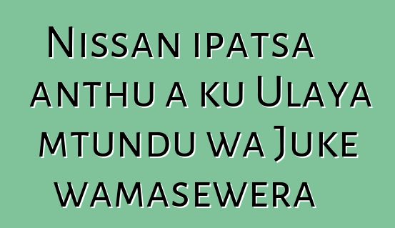 Nissan ipatsa anthu a ku Ulaya mtundu wa Juke wamasewera
