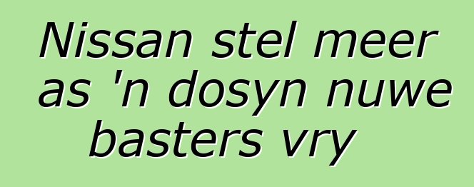 Nissan stel meer as 'n dosyn nuwe basters vry