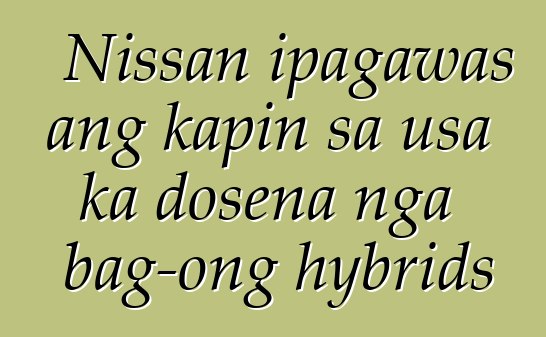 Nissan ipagawas ang kapin sa usa ka dosena nga bag-ong hybrids