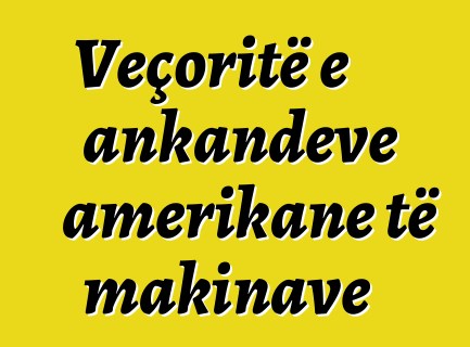 Veçoritë e ankandeve amerikane të makinave