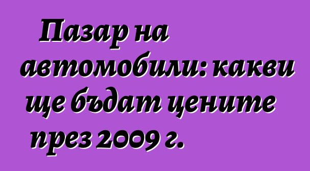 Пазар на автомобили: какви ще бъдат цените през 2009 г.