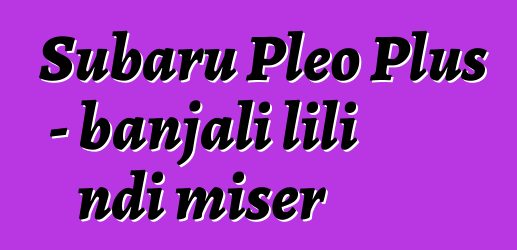 Subaru Pleo Plus - banjali lili ndi miser