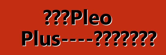 斯巴鲁Pleo Plus——家里不缺守财奴