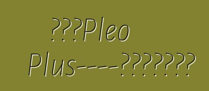 斯巴魯Pleo Plus——家裡不缺守財奴