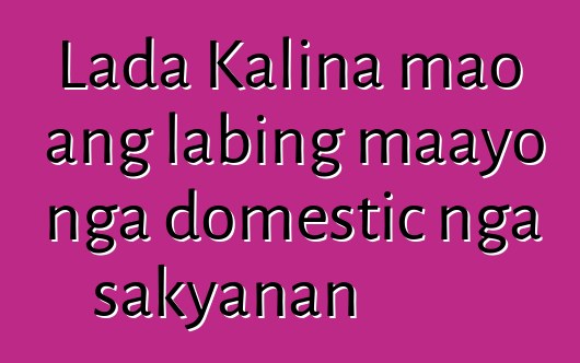 Lada Kalina mao ang labing maayo nga domestic nga sakyanan