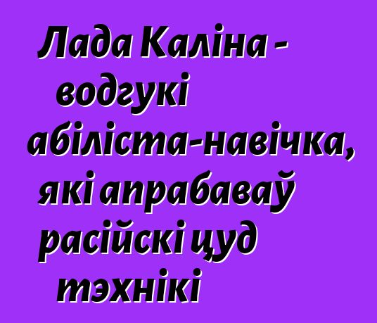 Лада Каліна - водгукі аўтамабіліста-навічка, які апрабаваў расійскі цуд тэхнікі