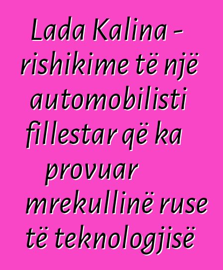 Lada Kalina - rishikime të një automobilisti fillestar që ka provuar mrekullinë ruse të teknologjisë