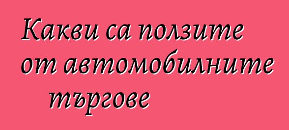 Какви са ползите от автомобилните търгове