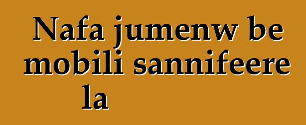 Nafa jumɛnw bɛ mobili sannifeere la