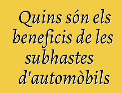 Quins són els beneficis de les subhastes d'automòbils