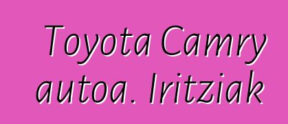 Toyota Camry autoa. Iritziak
