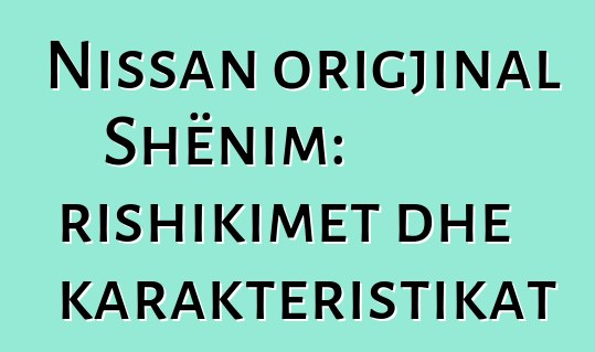 Nissan origjinal Shënim: rishikimet dhe karakteristikat