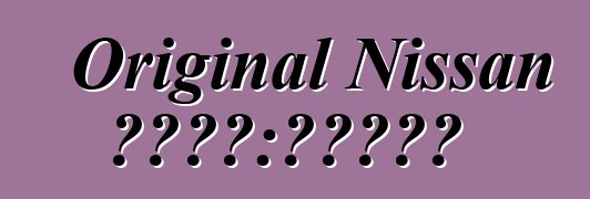 Original Nissan 注意事项：评论和特性