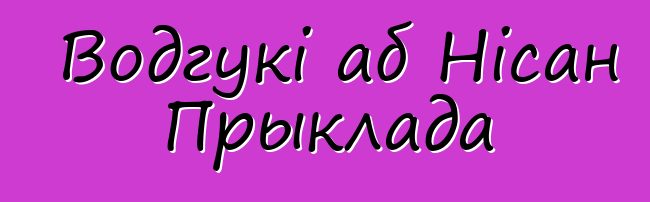 Водгукі аб Нісан Прыклада