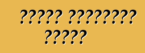 নিসান প্রাইমার রিভিউ