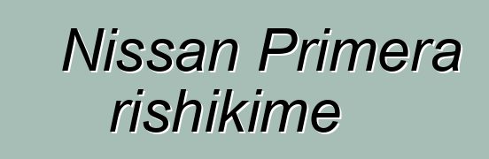 Nissan Primera rishikime