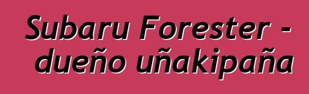 Subaru Forester – dueño uñakipaña
