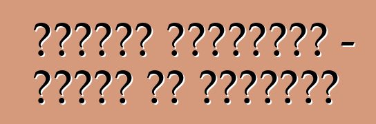 सुबारू फॉरेस्टर – मालिक के समीक्षा