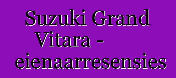 Suzuki Grand Vitara - eienaarresensies