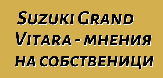 Suzuki Grand Vitara - мнения на собственици