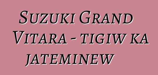 Suzuki Grand Vitara - tigiw ka jateminɛw
