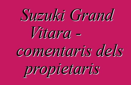 Suzuki Grand Vitara - comentaris dels propietaris