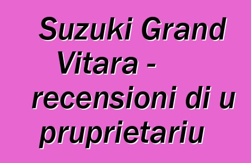 Suzuki Grand Vitara - recensioni di u pruprietariu