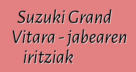 Suzuki Grand Vitara - jabearen iritziak