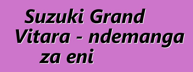 Suzuki Grand Vitara - ndemanga za eni