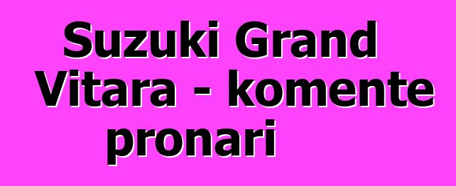 Suzuki Grand Vitara - komente pronari